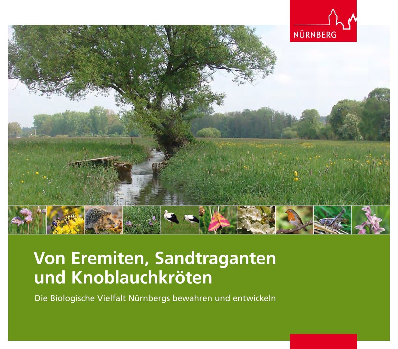 Biodiversitätsstrategie Nürnberg 2013