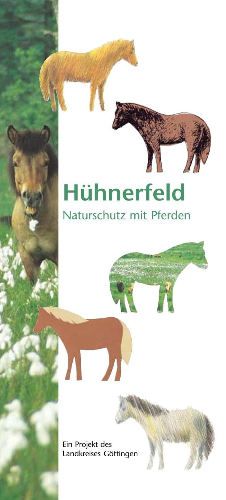 Hühnerfeld - Naturschutz mit Pferden