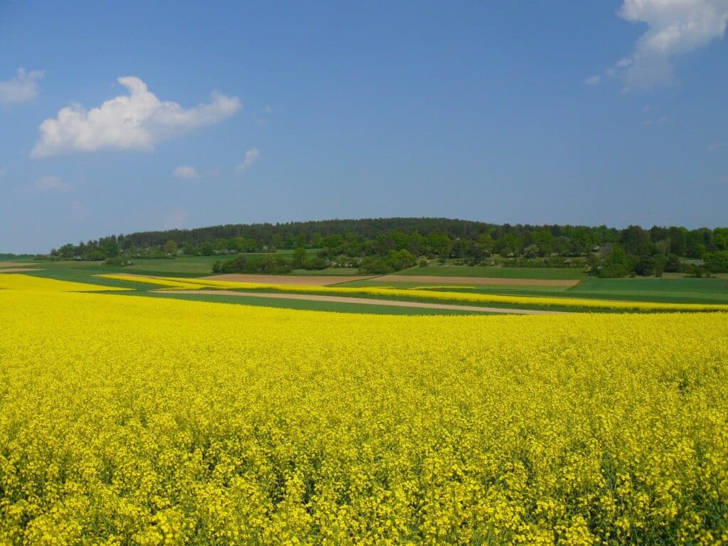 Kommunen für biologische Vielfalt - Mitglied - Gemeinde Aidlingen - Profil