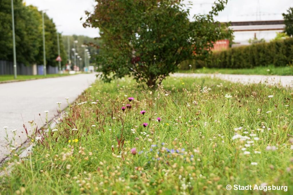 Kommunen für biologische Vielfalt - Mitglied - Stadt Augsburg - Profil5 - Am Mittleren Moos
