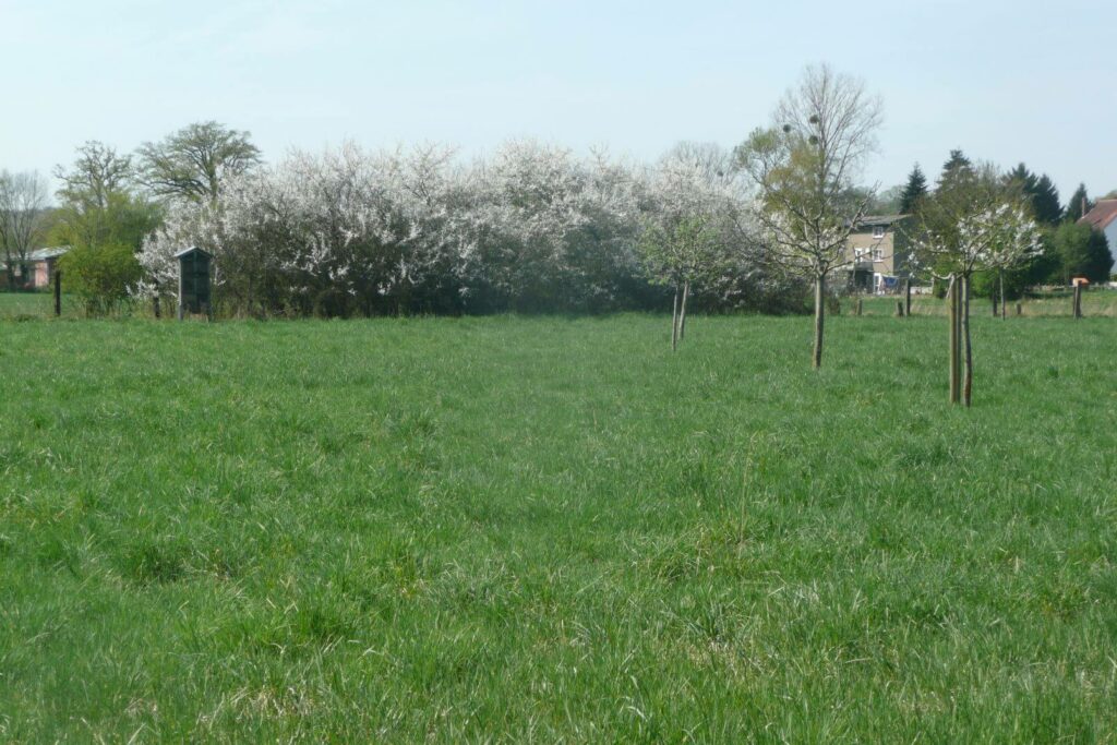Kommunen für biologische Vielfalt - Mitglied - Stadt Bad Oeynhausen - Profil2