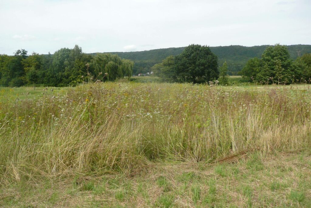 Kommunen für biologische Vielfalt - Mitglied - Stadt Bad Oeynhausen - Profil3