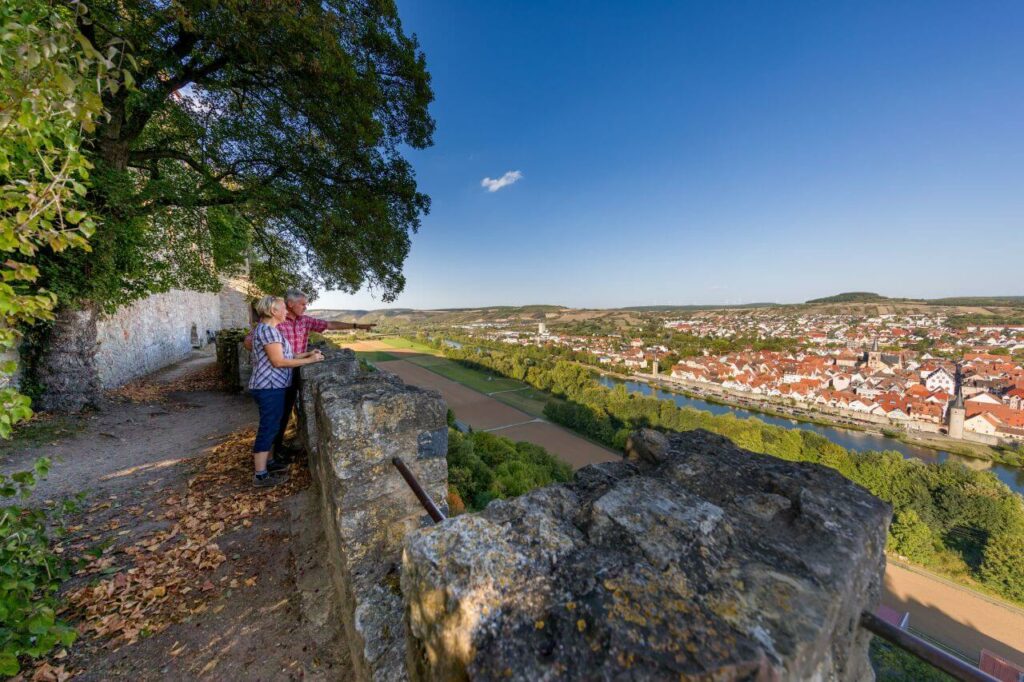 Kommunen für biologische Vielfalt - Mitglied - Stadt Karlstadt - Profil