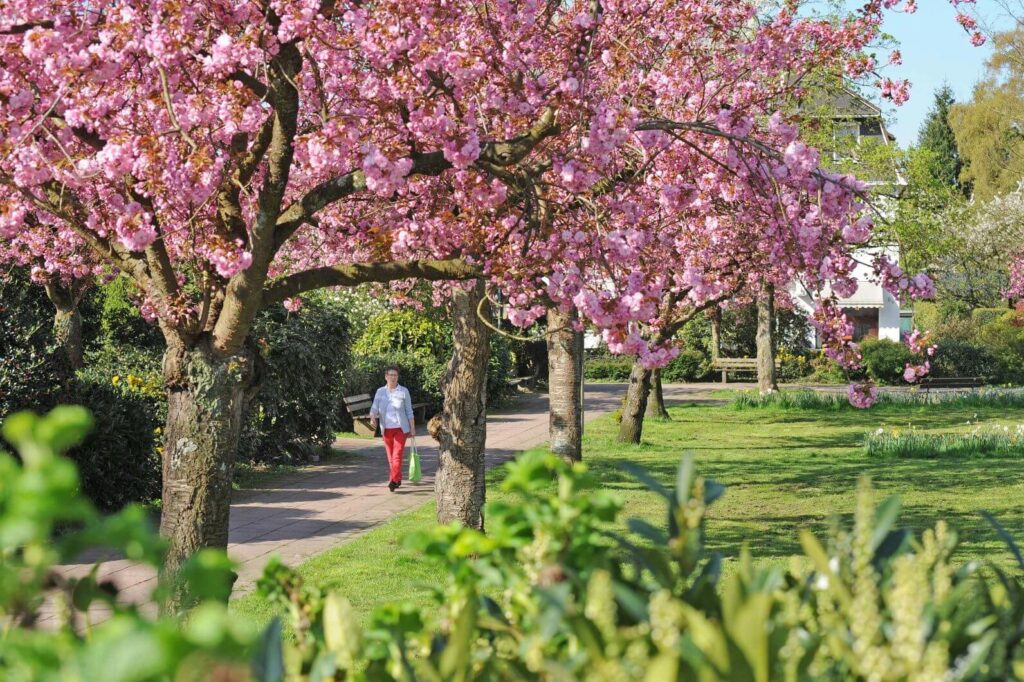 Kommunen für biologische Vielfalt - Mitglied - Stadt Leichlingen - Profil1 - Blühender Park