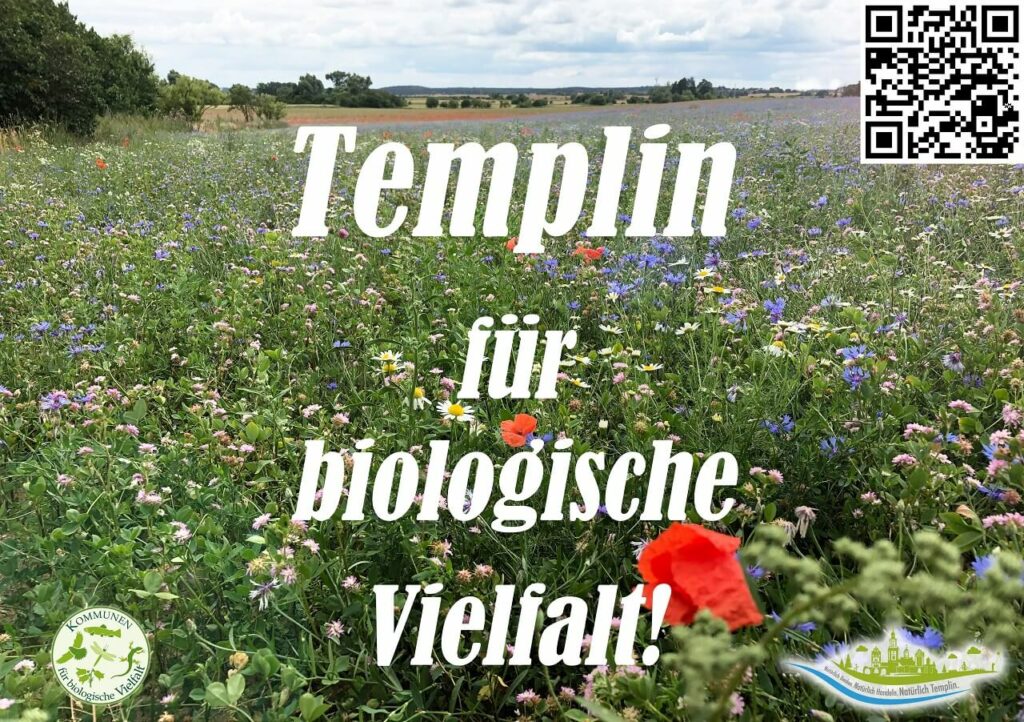 Kommunen für biologische Vielfalt - Mitglied - Stadt Templin - Profil - Blühflächenschild