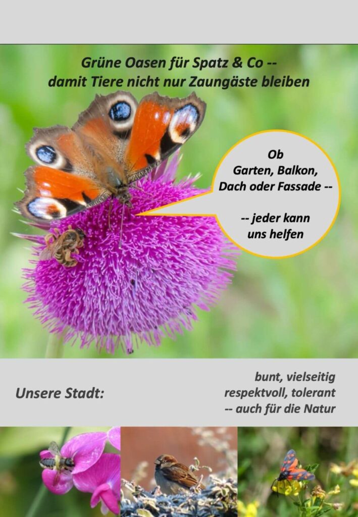 Kommunen für biologische Vielfalt - Praxisbeispiel - Stadt Köln - Bunte Gärten und Balkone - damit Tiere nicht nur Zaungäste bleiben4