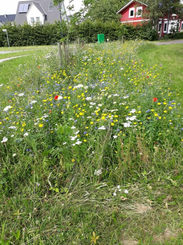 Kommunen für biologische Vielfalt - Mitglied - Stadt Tornesch - Profil1