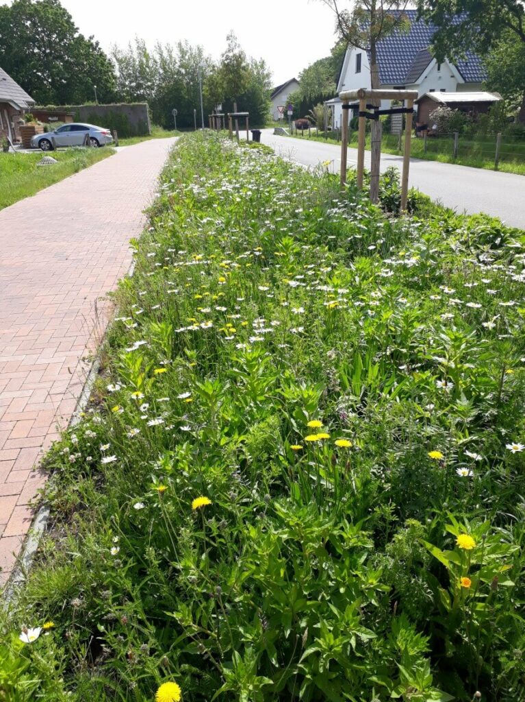Kommunen für biologische Vielfalt - Mitglied - Stadt Tornesch - Profil2
