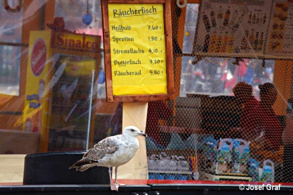 News - WunderWelten - Mit Speisekarte