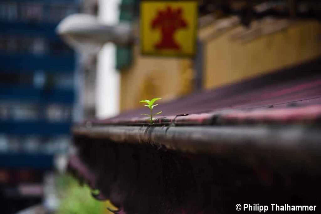 News - WunderWelten - Natur in Hongkong