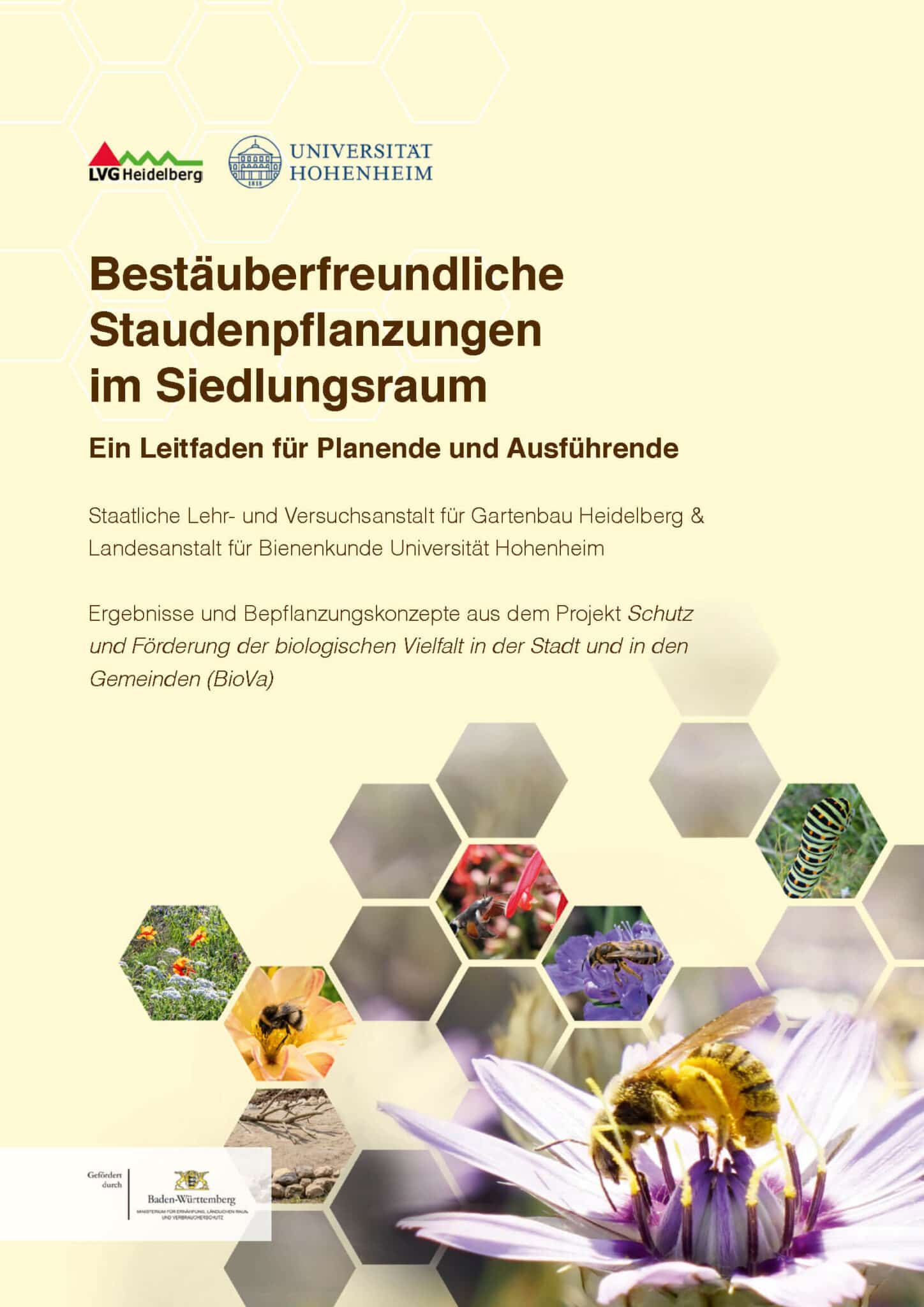 Bestäuberfreundliche Staudenpflanzungen im Siedlungsraum