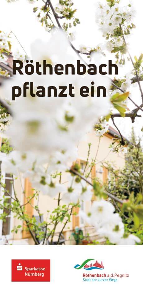Röthenbach pflanzt ein