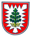 Wappen Stadt Pinneberg