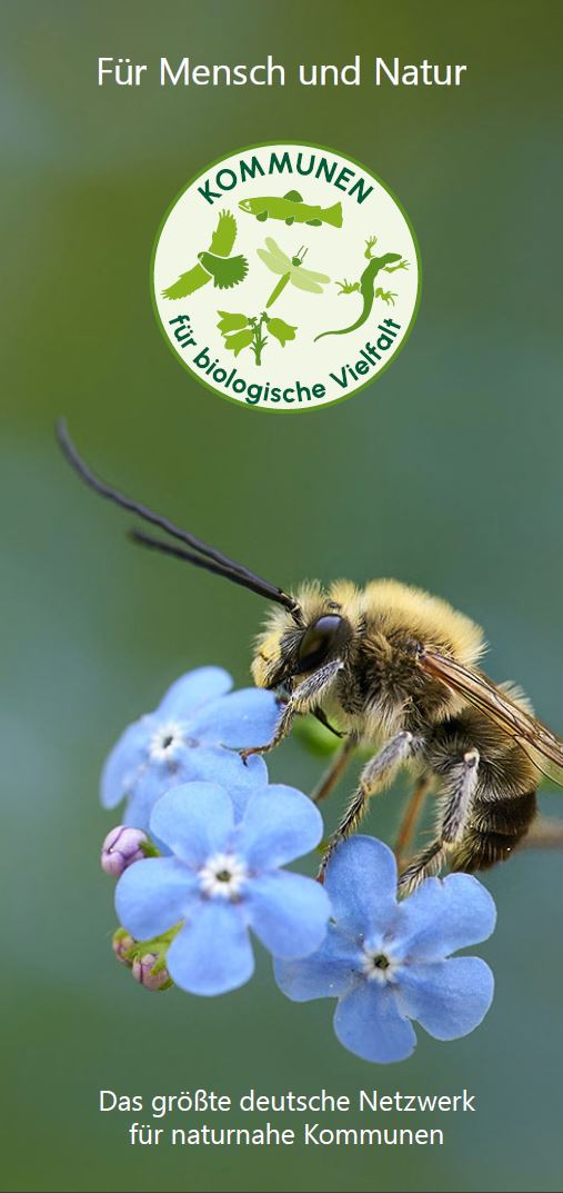 Bündnis-Flyer_2024