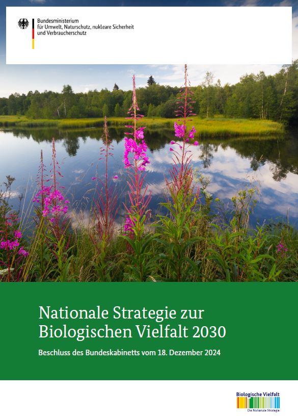 1. Aktionsplan zur Nationalen Strategie zur Biologischen Vielfalt 2030 (NBS 2030)