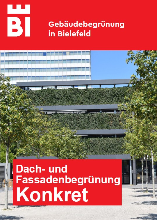 Dach- und Fassadenbegrünung konkret