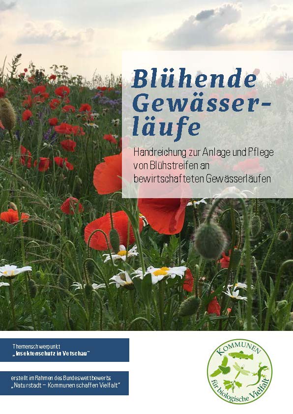 Blühende Gewässerläufe