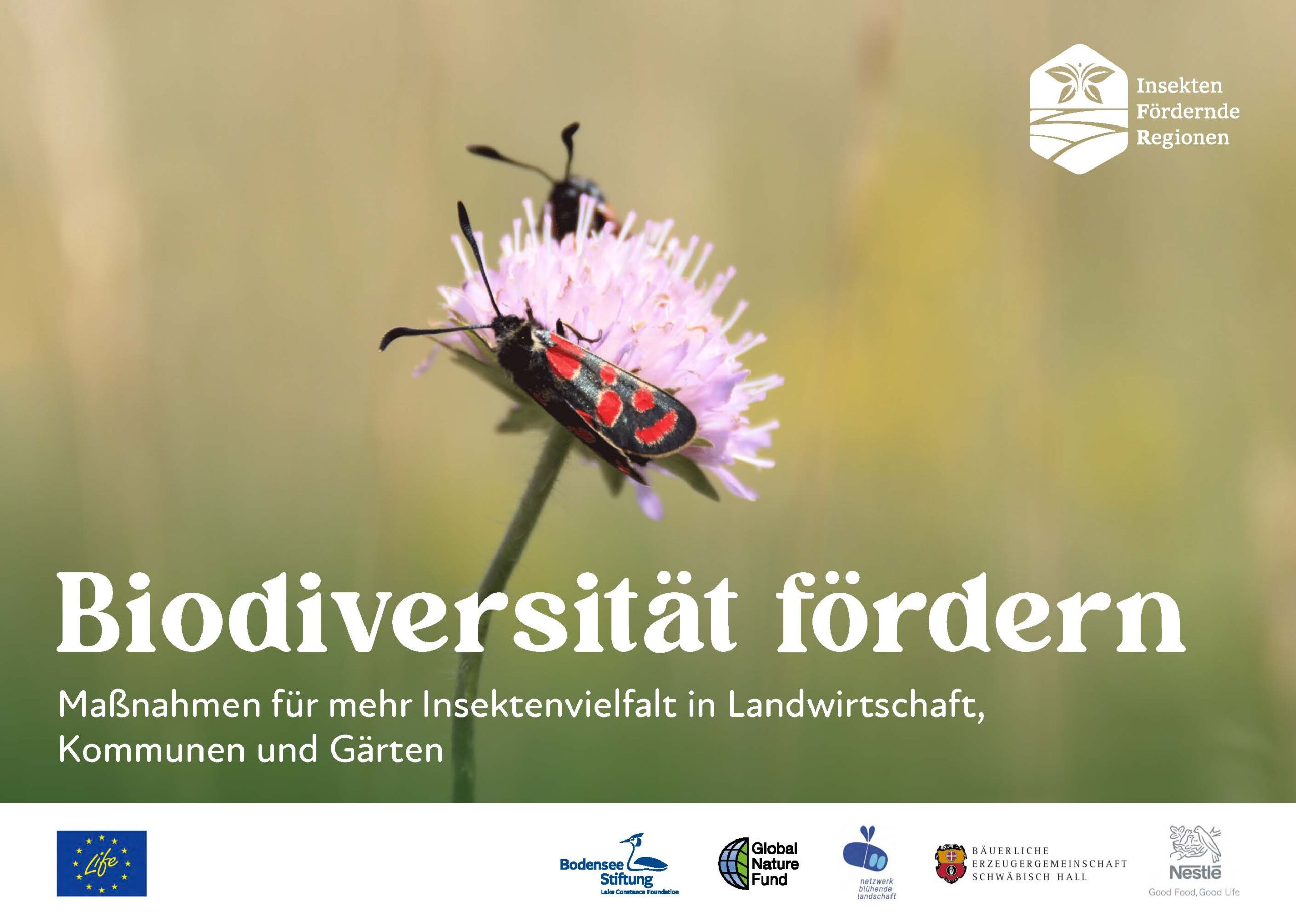 Biodiversität fördern