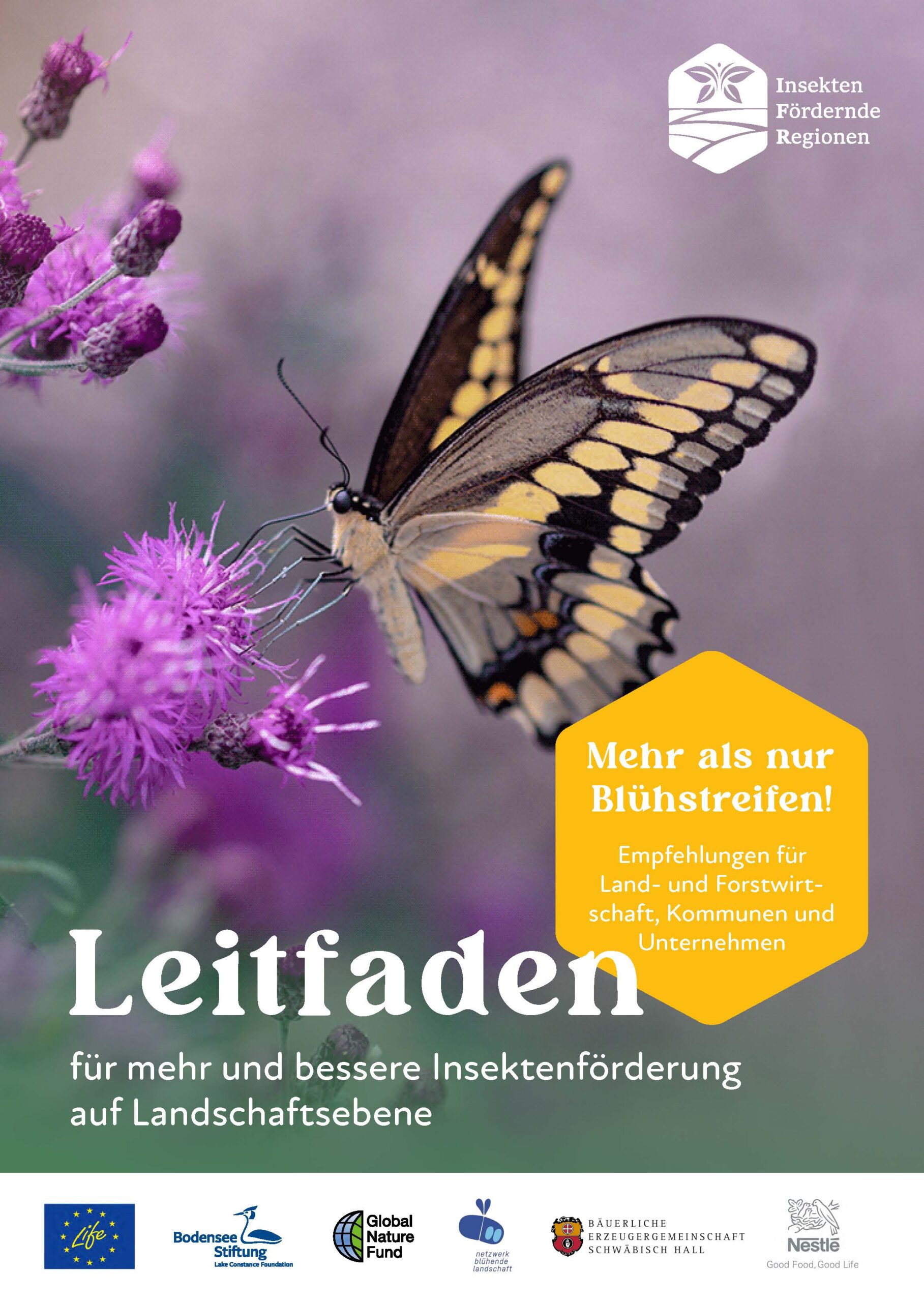 Leitfaden für mehr und bessere Insektenförderung auf Landschaftsebene