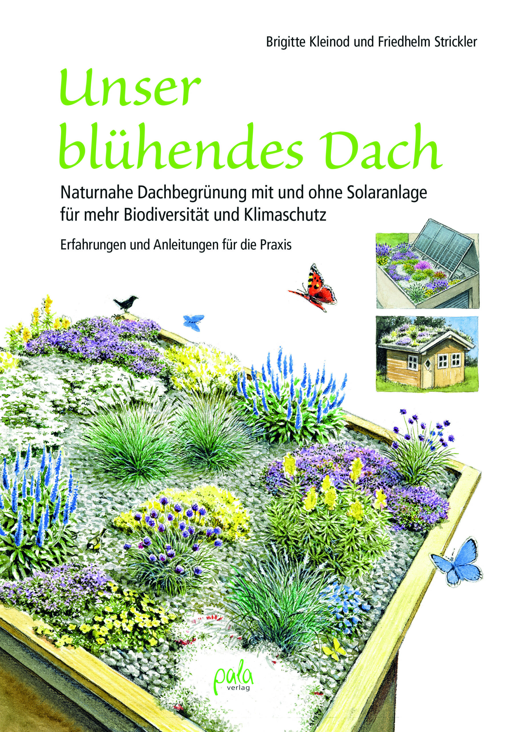 Unser blühendes Dach