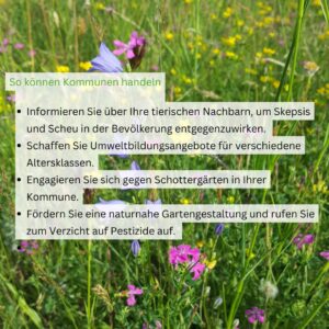 Tiere der Stadt Sandbiene4
