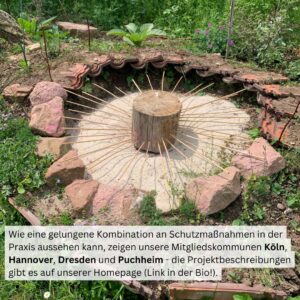 Tiere der Stadt Sandbiene6