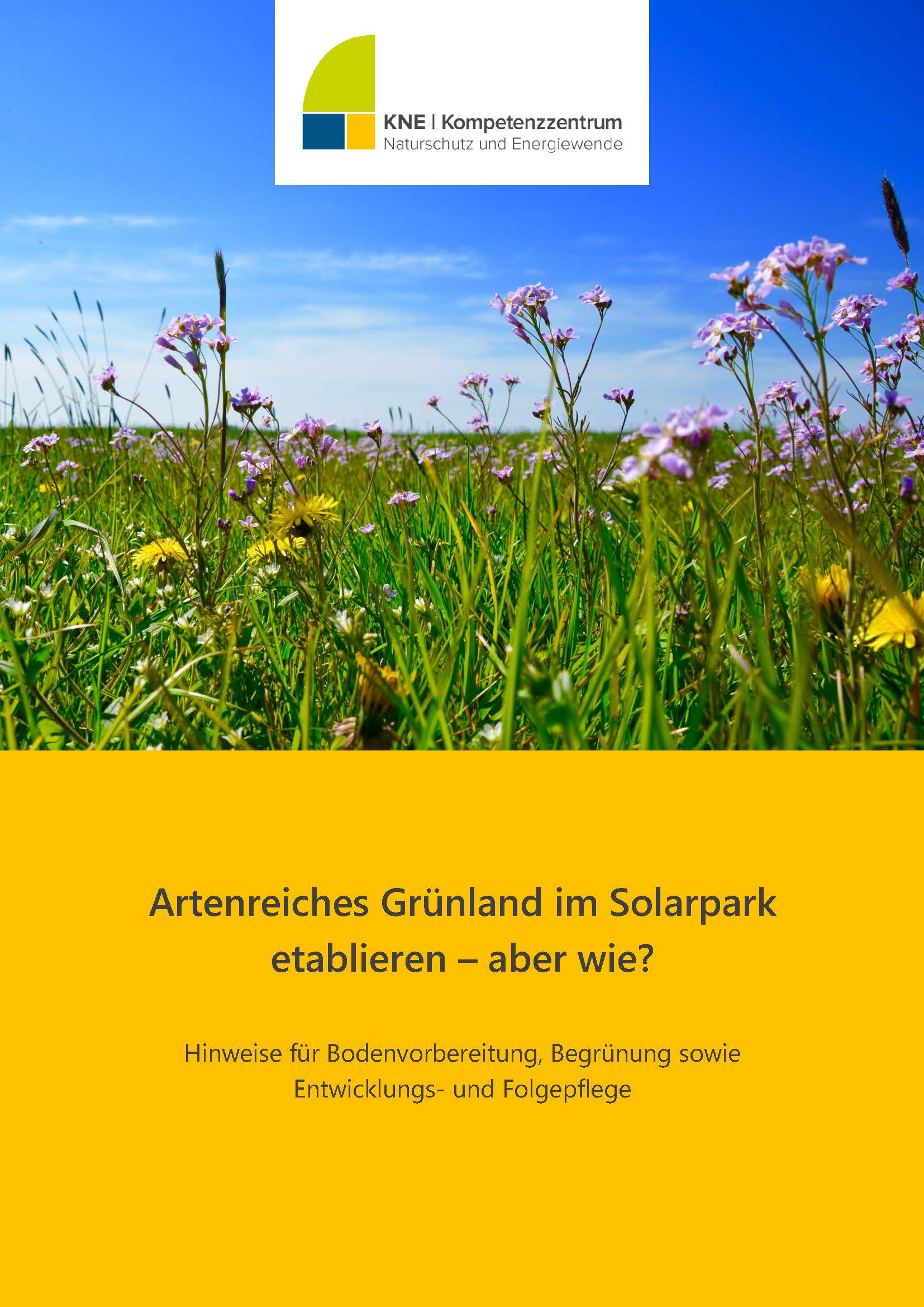 Artenreiches Grünland im Solarpark etablieren – aber wie