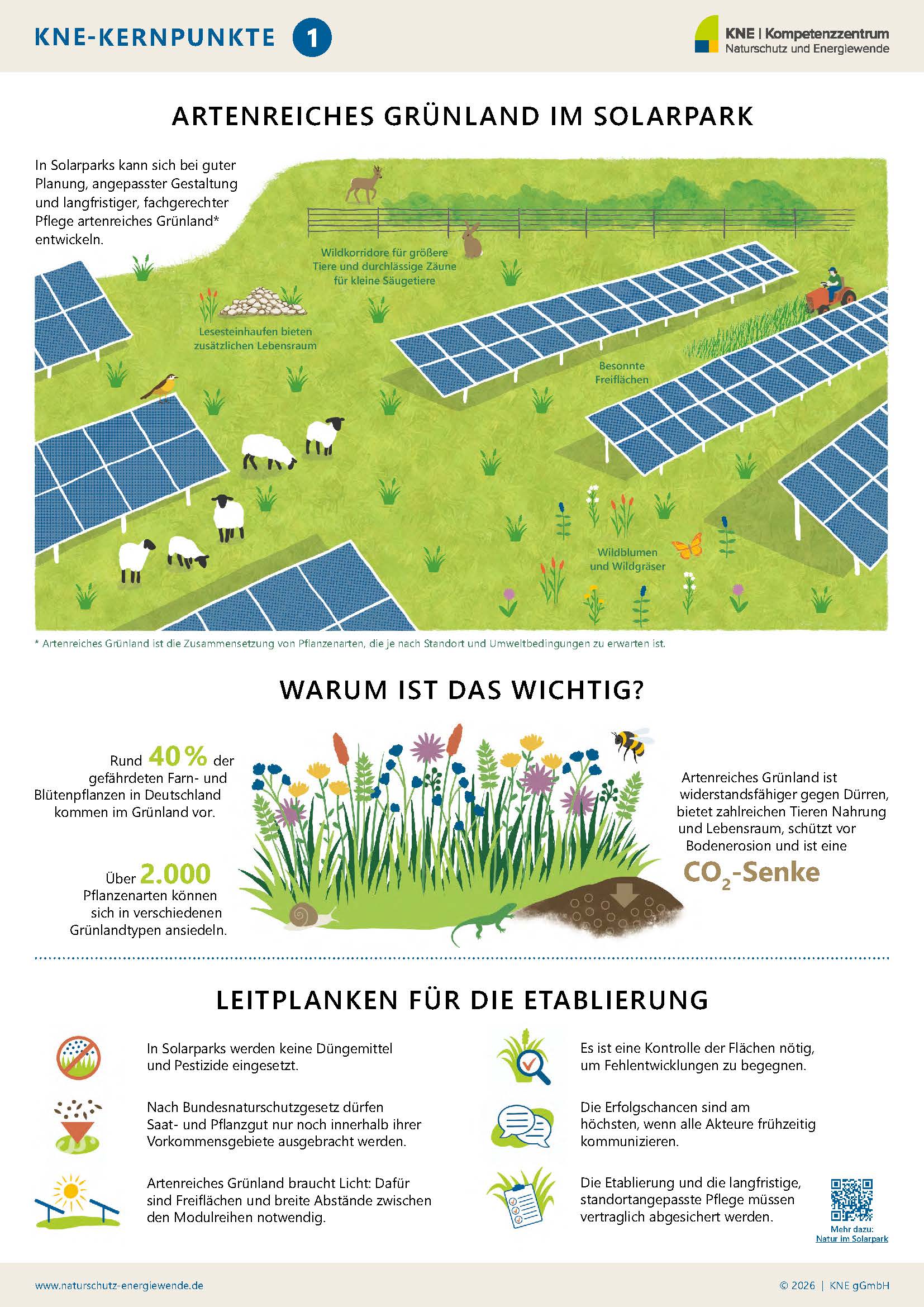 Faktenblatt Artenreiches Grünland im Solarpark