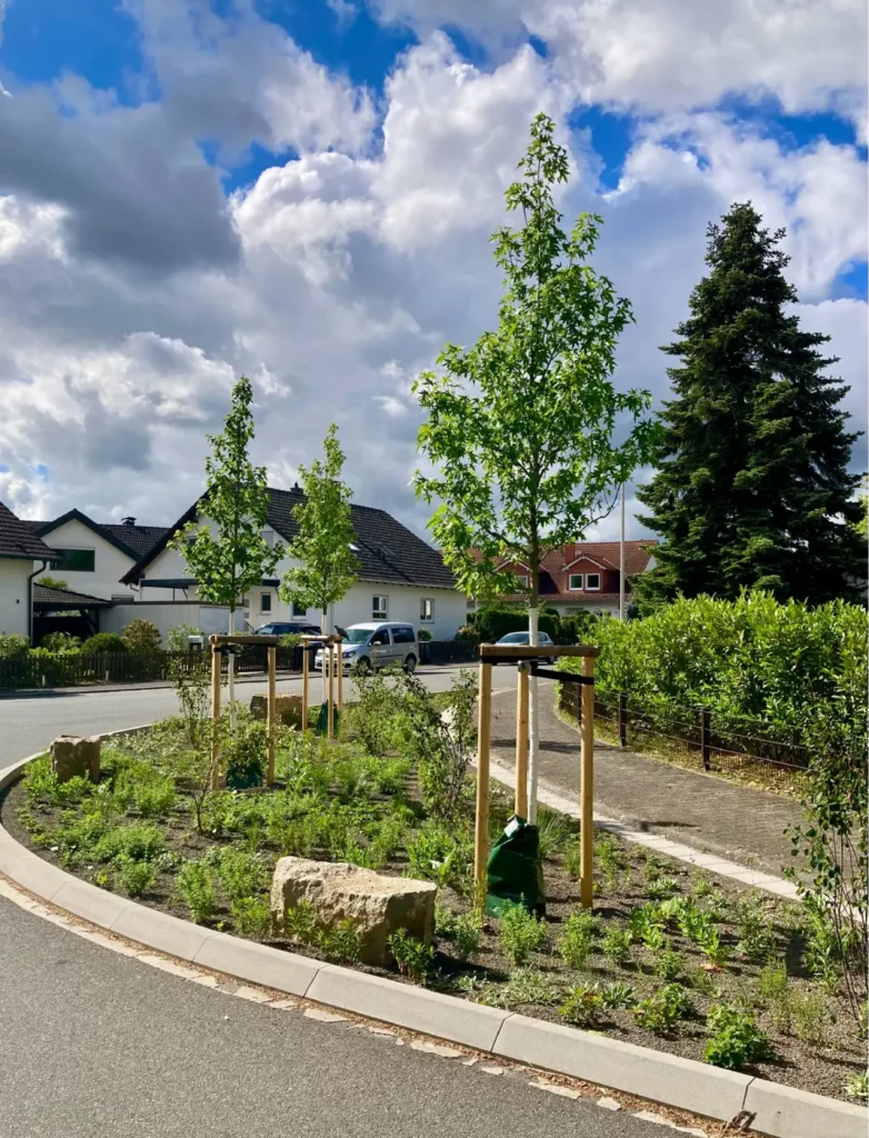 Kommunen für biologische Vielfalt - Praxisbeispiel - Stadt Dreieich - Entsiegelungsprojekt Am Schlagbach3