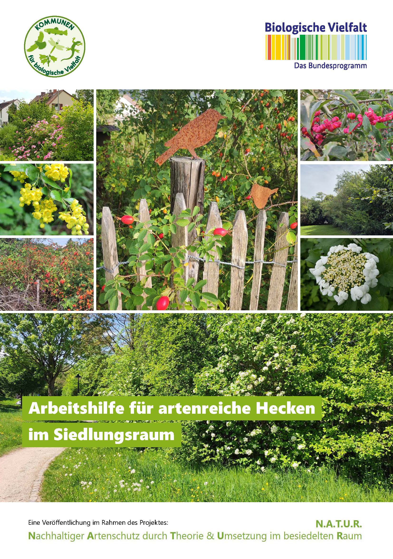 NATUR Arbeitshilfe für artenreiche Hecken im Siedlungsraum