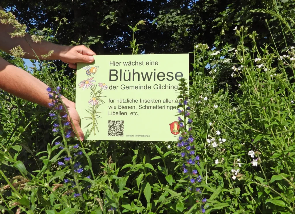 Kommunen für biologische Vielfalt - Praxisbeispiel - Gemeinde Gilching - Blühflächen für mehr Vielfalt2